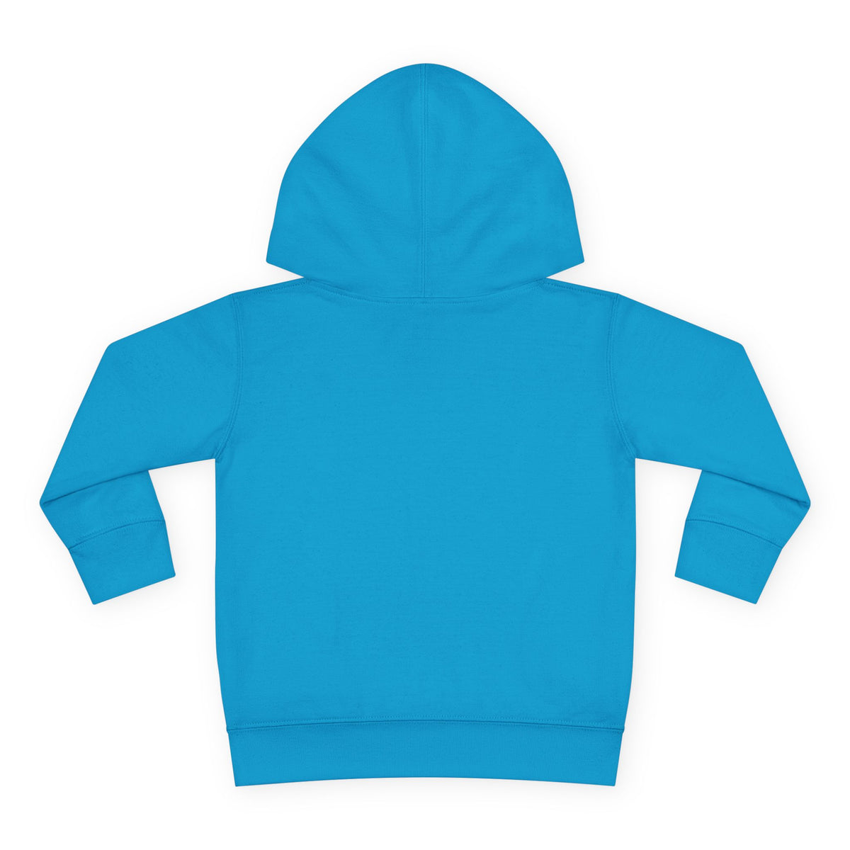 RNR Buckle Logo Toddler Pullover Fleece Hoodie